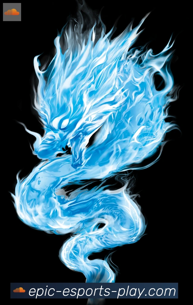 未来规划